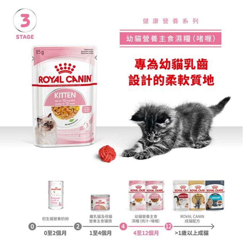 Royal Canin Royal Canin 法國皇家 Kitten 貓濕糧 幼貓營養主食濕糧  85g 85g  正面圖