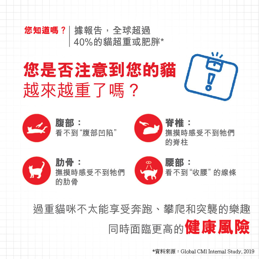 Royal Canin Royal Canin 法國皇家 貓濕糧 成貓體重控制加護主食濕糧  85g 85g  側面圖