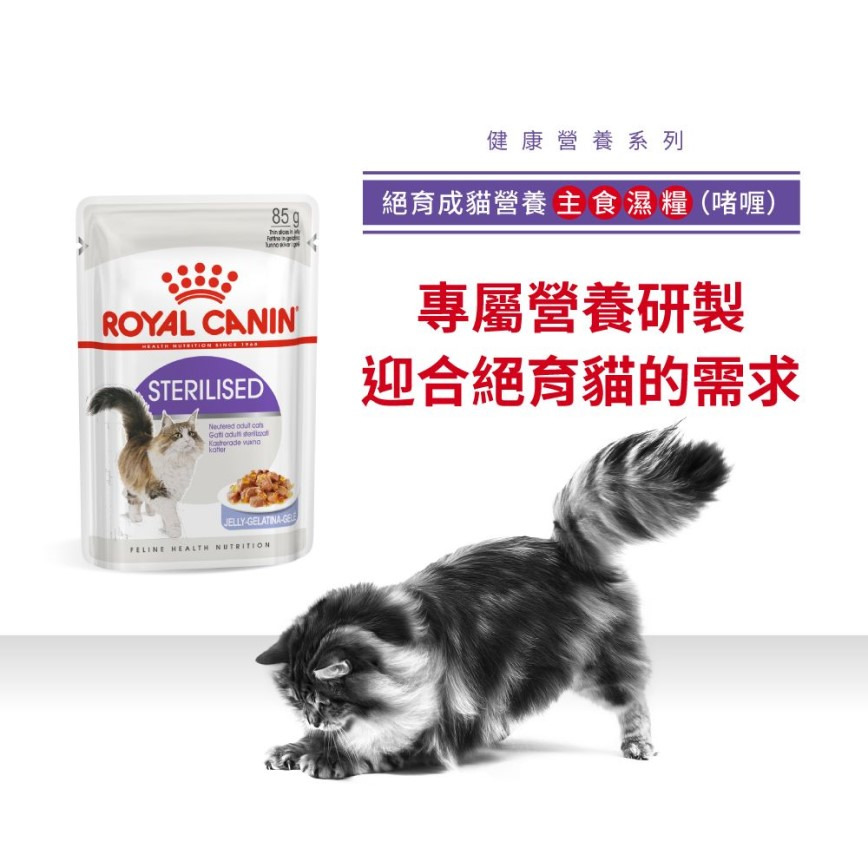 Royal Canin Royal Canin 法國皇家 貓濕糧 絕育成貓營養主食濕糧  85g 85g  正面圖
