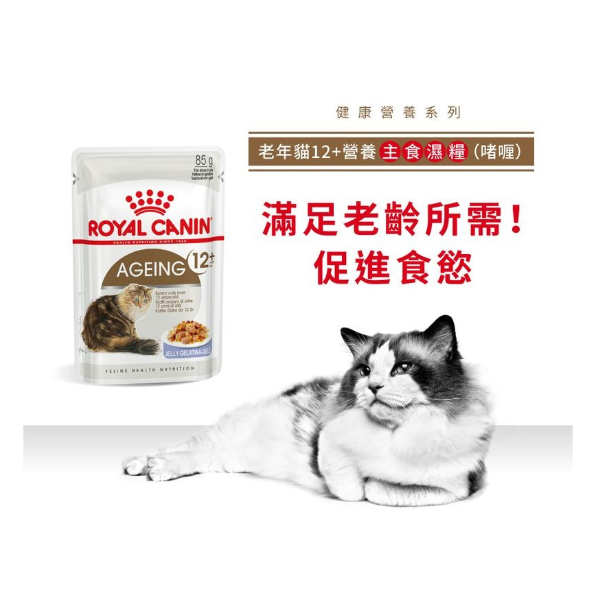 Royal Canin Royal Canin 法國皇家 貓濕糧 老年貓12+營養主食濕糧  85g 85g  正面圖
