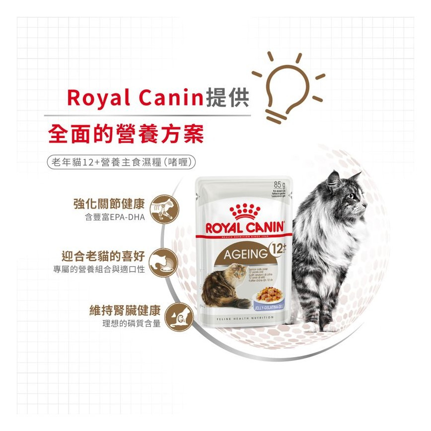 Royal Canin Royal Canin 法國皇家 貓濕糧 老年貓12+營養主食濕糧  85g 85g  側面圖