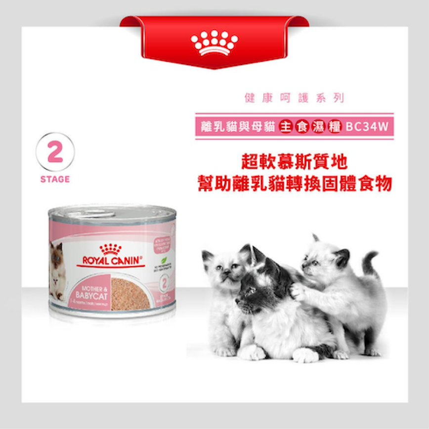 Royal Canin Royal Canin 法國皇家 貓濕糧 離乳貓及母貓營養主食罐頭 BB02 195g 195g  背面圖