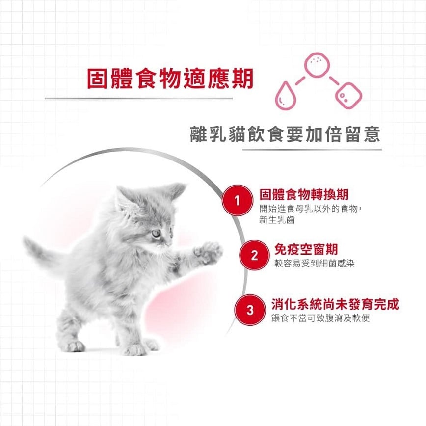 Royal Canin Royal Canin 法國皇家 貓濕糧 離乳貓及母貓營養主食罐頭 BB02 195g 195g  正面圖