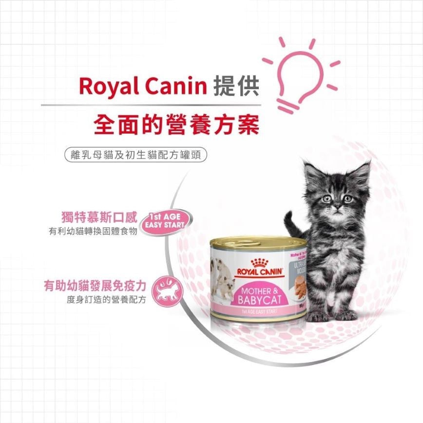 Royal Canin Royal Canin 法國皇家 貓濕糧 離乳貓及母貓營養主食罐頭 BB02 195g 195g  背面圖