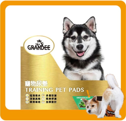 GRANDEE GRANDEE 寵物尿墊 狗尿墊 狗尿片 綠茶味 [90*60 L碼 25枚入]   正面圖