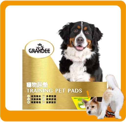 GRANDEE GRANDEE 寵物尿墊 狗尿墊 狗尿片 青蘋果味 [90*60 L碼 25枚]   正面圖