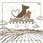 Natural Natural Farm 天然凍乾寵物小食 雞肉粒 10g 10g 貓犬用 正面圖