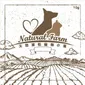 Natural Natural Farm 天然凍乾寵物小食 雞肝粒 10g 10g 貓犬用 正面圖