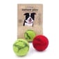 Billipets Billipets 狗玩具 新西蘭天然羊毛系列 波波 綠色 Ø6.3cm   正面圖