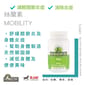 Holistic Holistic Blend 楓葉 絲蘭素 MOBILITY 100g 100g 貓犬用 正面圖