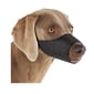 Buster Buster 尼龍料犬口罩 洛威拿犬 Rottweiler   背面圖