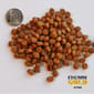 Fromm福摩 Fromm福摩 貓糧 GOLD金裝 幼貓糧 雞肉三文魚配方 4lb 4lb  背面圖