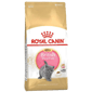 Royal Canin Royal Canin 貓糧 法國皇家貓糧 英國短毛幼貓配方 KBSH38 10kg 10kg  正面圖