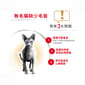 Royal Canin Royal Canin 貓糧 法國皇家貓糧 純種系列 無毛貓成貓專屬配方 2kg 2kg  正面圖