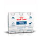 Royal Canin Royal Canin 法國皇家 獸醫處方 關鍵賦活系列 成犬腎臟處方營養液 200ml x 3支 200ml  正面圖
