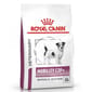 Royal Canin Royal Canin 處方糧 法國皇家狗糧 關鍵賦活系列 小型成犬關節活動處方 3.5kg 5kg  正面圖