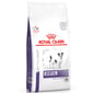 Royal Canin Royal Canin 處方糧 法國皇家狗糧 健康管理系列 小型犬牙齒護理健康管理配方 2kg 2kg  正面圖