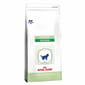Royal Canin Royal Canin 處方糧 法國皇家貓糧 健康管理系列 幼貓  斷奶健康管理配方 400g 400g  正面圖