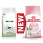 Royal Canin Royal Canin 處方糧 法國皇家貓糧 健康管理系列 幼貓  助長健康管理配方 400g 400g  正面圖