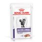 Royal Canin Royal Canin 處方糧 法國皇家 貓濕糧 健康管理系列 老貓均衡營養健康管理袋裝濕糧  85g 85g  正面圖