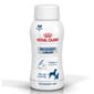 Royal Canin Royal Canin 法國皇家 獸醫處方 貓犬用營養液體食品 腸胃道系列 ICU重症營養處方營養液  200ml x 3支 200ml 貓犬用 正面圖