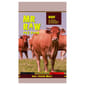 MR MR RAW 貓狗糧 急凍生肉糧 牛肉配方 1kg 1kg  正面圖
