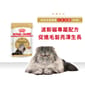 Royal Canin Royal Canin 法國皇家 貓濕糧 波斯成貓專屬主食濕糧  85g 85g  正面圖