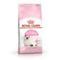 Royal Canin Royal Canin 貓糧 法國皇家貓糧 Kitten 健康營養系列 幼貓營養配方 K36 幼貓配方 400g 400g  正面圖