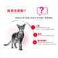 Royal Canin Royal Canin 貓糧 法國皇家貓糧 超級挑咀配方 EXS 4kg 4kg  背面圖
