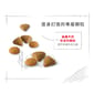 Royal Canin Royal Canin 貓糧 法國皇家貓糧 超級挑咀配方 EXS 4kg 4kg  特寫圖