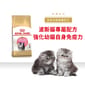 Royal Canin Royal Canin 貓糧 法國皇家貓糧 純種系列 波斯幼貓專屬配方 KPS32 10kg 10kg  正面圖
