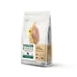 VIGOR VIGOR & SAGE 無穀物天然糧 人參小型成犬 Ginseng Well-Being 6kg 6kg  正面圖