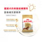 Royal Canin Royal Canin 狗糧 法國皇家狗糧 純種系列臘腸成犬糧 DS28 1.5kg 5kg  側面圖