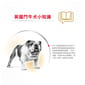 Royal Canin Royal Canin 狗糧 法國皇家狗糧 純種系列 鬥牛成犬專屬配方 鬥牛成犬糧 BUD 12kg 12kg  正面圖
