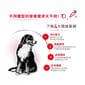 Royal Canin Royal Canin 狗糧 法國皇家狗糧 中型成犬營養配方 M25 4kg 4kg  背面圖