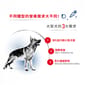 Royal Canin Royal Canin 狗糧 法國皇家狗糧 大型成犬營養配方 GR26 4kg 4kg  背面圖