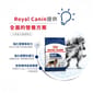 Royal Canin Royal Canin 狗糧 法國皇家狗糧 大型成犬營養配方 GR26 4kg 4kg  側面圖