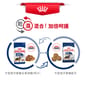 Royal Canin Royal Canin 狗糧 法國皇家狗糧 大型成犬營養配方 GR26 4kg 4kg  包裝圖