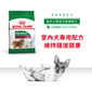 Royal Canin Royal Canin 狗糧 法國皇家狗糧 健康營養系列 室內小型成犬營養配方 室內小型成犬配方 ILA 1.5kg 5kg  正面圖