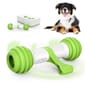 GiGwi GiGwi Petgeek電動玩具 智能骨頭   正面圖