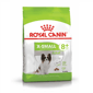 Royal Canin Royal Canin 狗糧 法國皇家狗糧 超小型成犬8+營養配方 XSS 3kg 3kg  正面圖