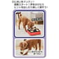 Petio Petio Ethical Door 狗玩具 互動藏寶毛絨發聲 章魚燒   側面圖