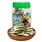 每日潔 每日潔 雙色螺旋保健潔牙骨 桶裝 心臟養護 葉綠素+牛奶 800g 800g  正面圖