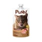 Push! Push! 噗滋包 機能貓貓主食肉泥 雞肉鵪鶉 110g 110g  正面圖