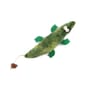 HelloDOG HelloDOG 玩具嚴選 貓玩具 貓薄荷解壓玩具 我是鱷魚 1隻   正面圖