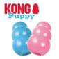 KONG KONG Puppy Medium 9cm   正面圖
