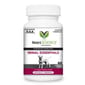 VetriScience VetriScience Renal Essentials犬用腎臟補充咀嚼片 60粒 60粒 犬用 正面圖