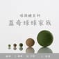 Pawfy Pawfy 喵微醺 蓋奇系列 蓋奇星球 經典風味 10cm   正面圖