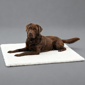Full Full Creation 人造羊毛床 thermo bed 48cm x 38cm   正面圖