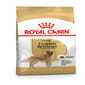 Royal Canin Royal Canin 狗糧 法國皇家狗糧 BHN 金毛尋回成犬專屬配方 50g 50g  正面圖